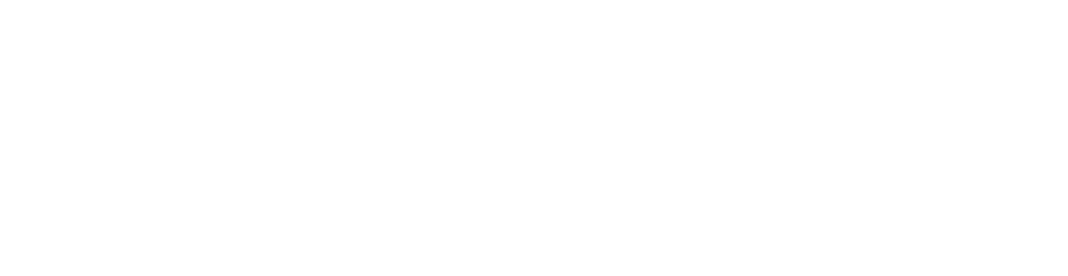 logo Esim